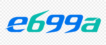 e699a